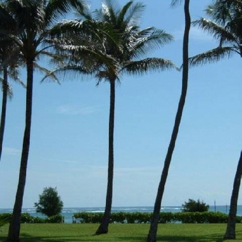 Fairway Villas Honolulu Zewnętrze zdjęcie