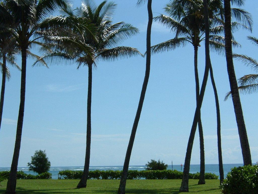 Fairway Villas Honolulu Zewnętrze zdjęcie